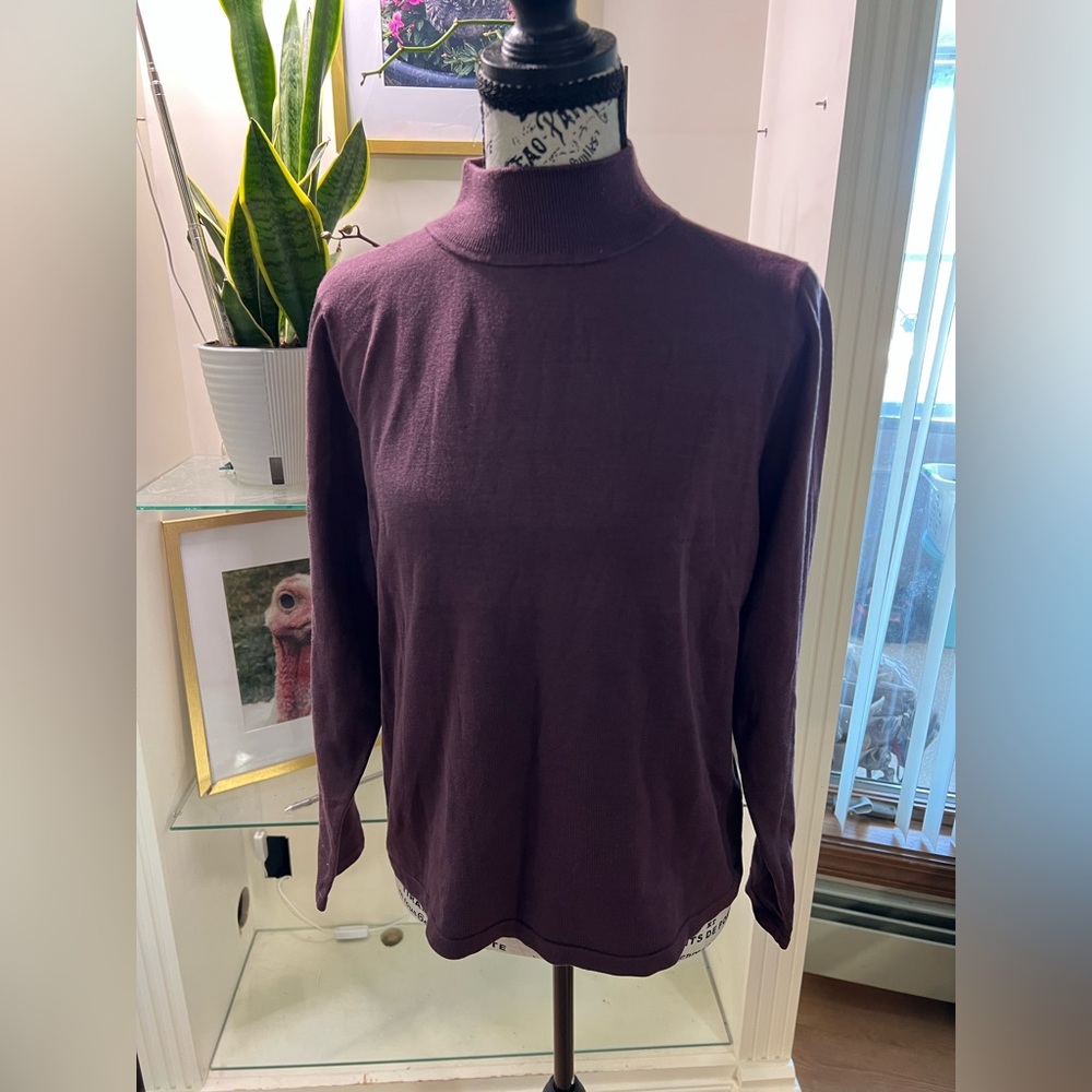 Pendleton Sweater size M